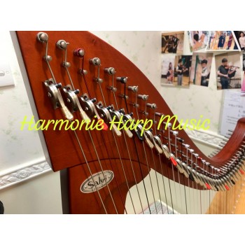 SOLD - 2nd Hand Salvi Titan 38 Strings Lever Harp